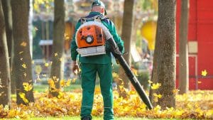 Fall Yard Cleanup