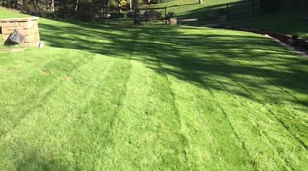 Lawn Care Services Tulsa Oklahoma