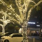 Christmas-lights (3)