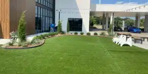 Commercial building landscape maintenance plan