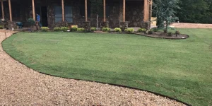 Benefits of aerating lawn