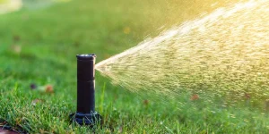 lawn sprinkler tune-ups