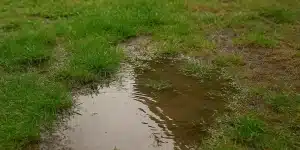 Solving mushy yards with drainage solutions