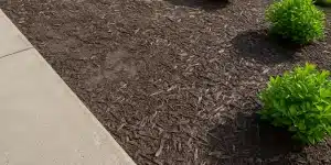 when to replace old mulch