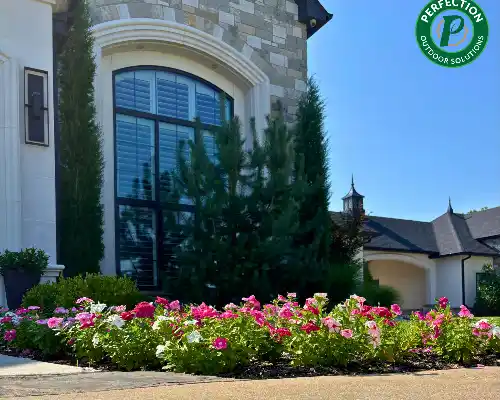 Flower Bed Installation
